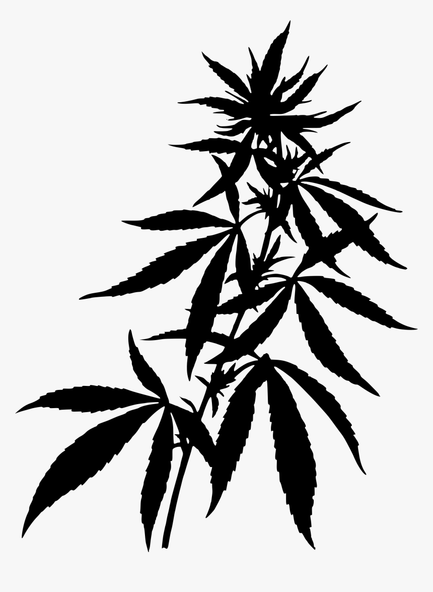 Transparent Weed Joint Clipart - Marijuana Plant, HD Png Download