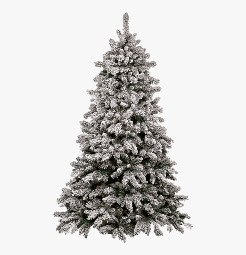 Christmas Tree Snow - Introduction To Animal Science Global Biological Social, HD Png Download