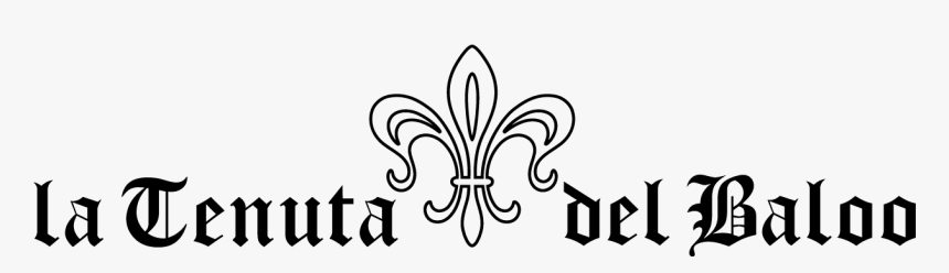 Graphic Design, HD Png Download