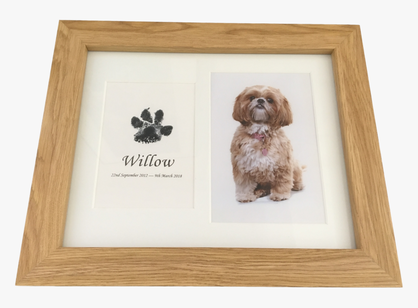 Dog Paw Print In Wood Frame With Photograph Using Inkless - Paw, HD Png Download
