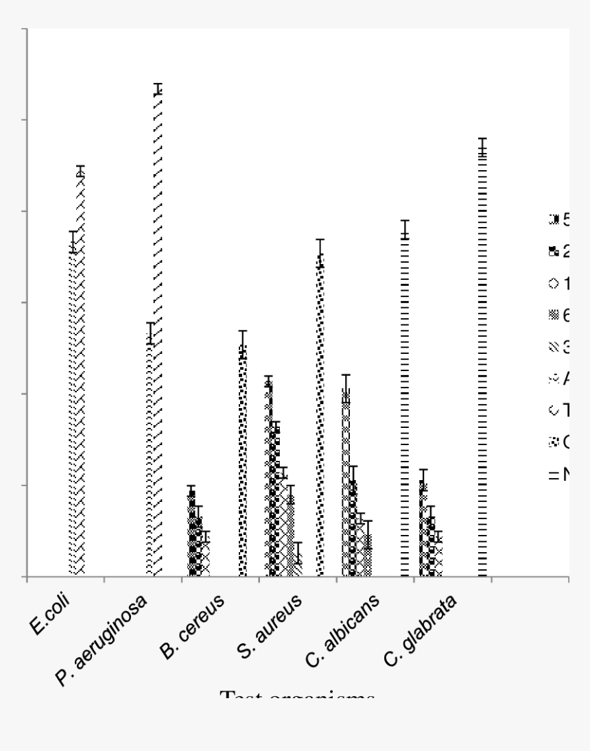 The Antimicrobial Activity Of Pleurotus Squarrosulus - Monochrome, HD Png Download