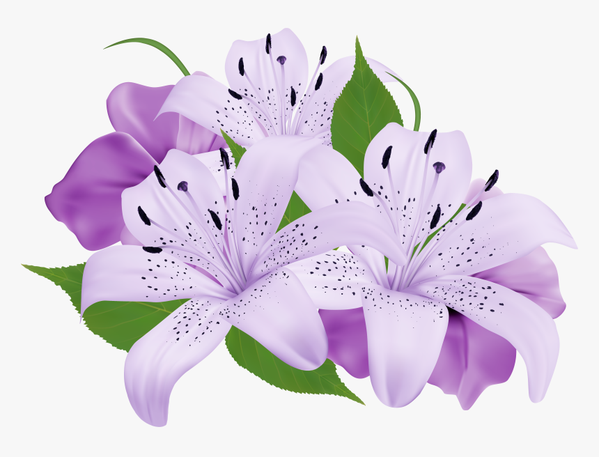 Purple Decorative Flowers Png Clipart, Transparent Png