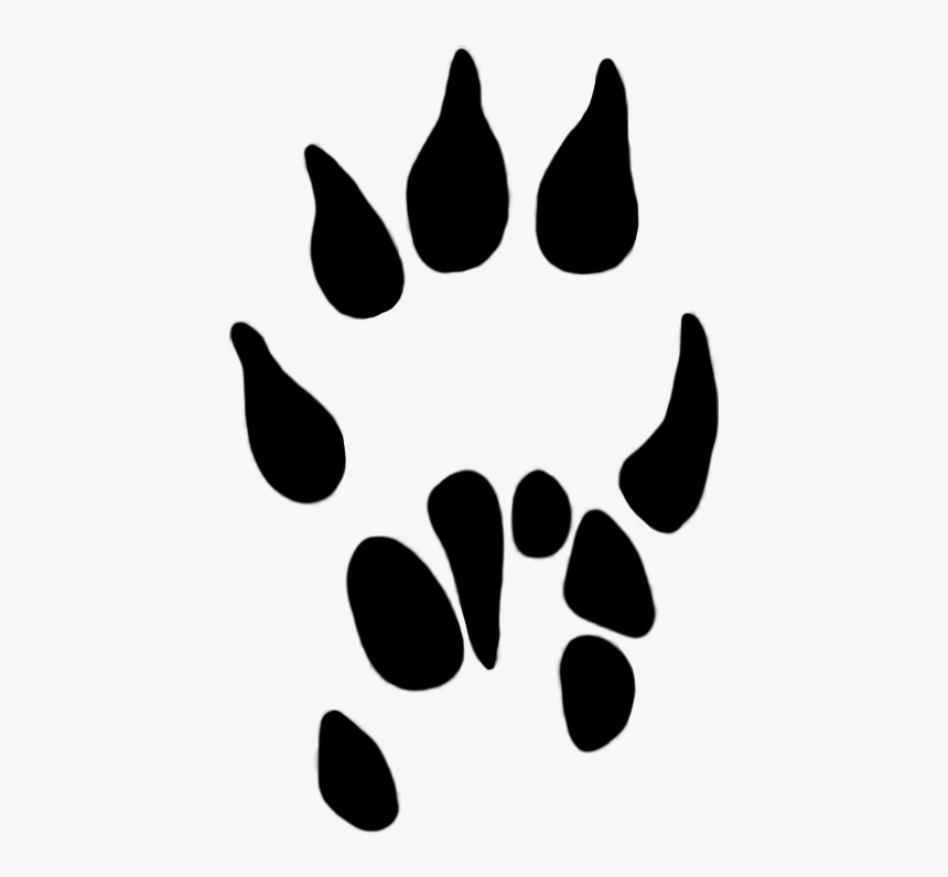 Paw Prints Clipart Mole Paw 13 Mm - Mole Rat Paw Print, HD Png Download
