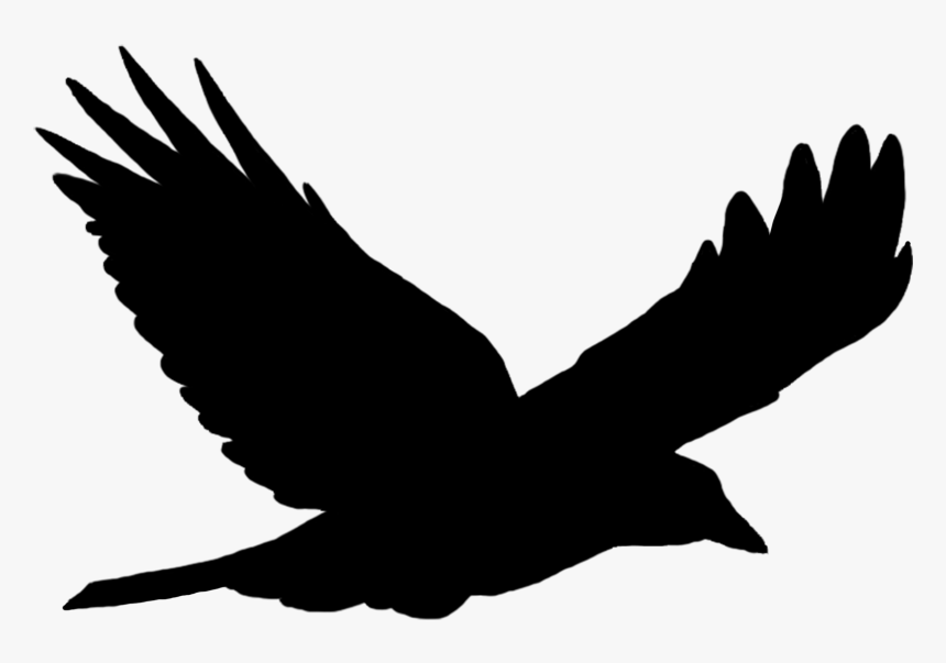 Bird Flying Png Image - Nastenne Kovove Hodiny Tichy Chod, Transparent Png