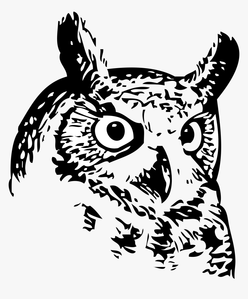 Owl Drawings Of Owl S Face - Hughes Owls, HD Png Download