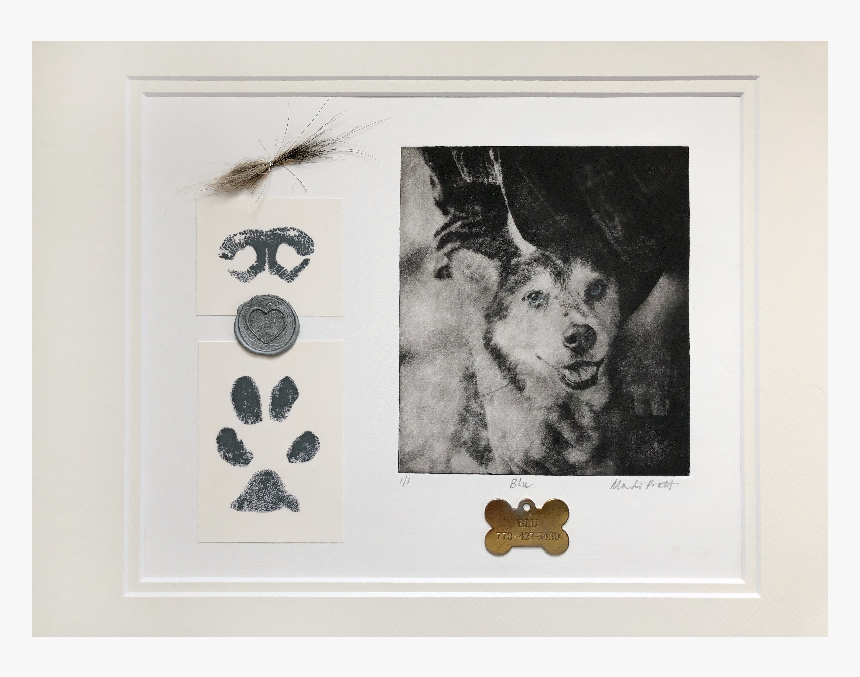 Custom Dog Portrait Memorial With Ashes Paw Print Dogtag - Australian Cattle Dog, HD Png Download