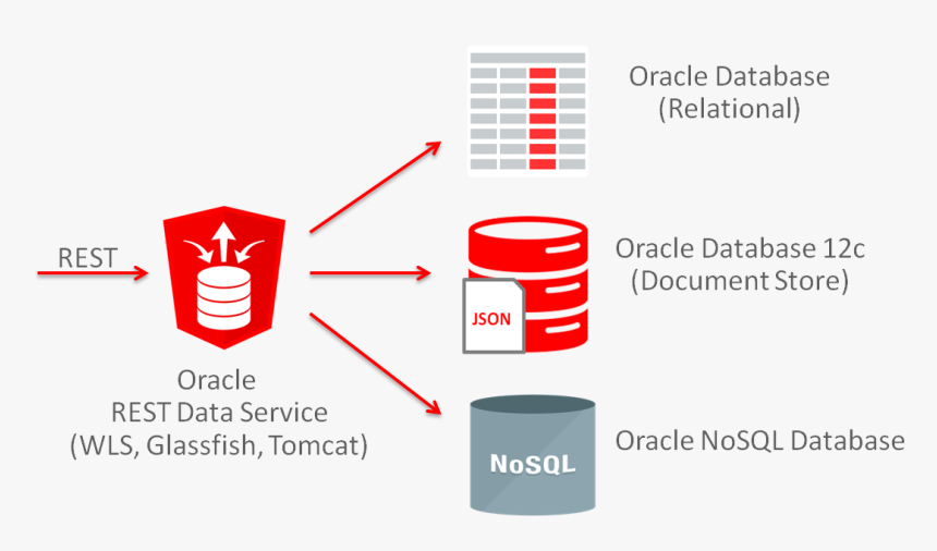 Oracle Support Services - Oracle Ords, HD Png Download , Transparent ...