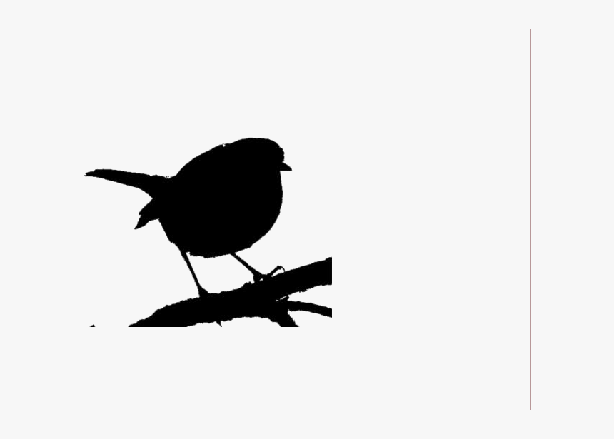 Bird Png Hd Images, Stickers, Vectors - Wren, Transparent Png