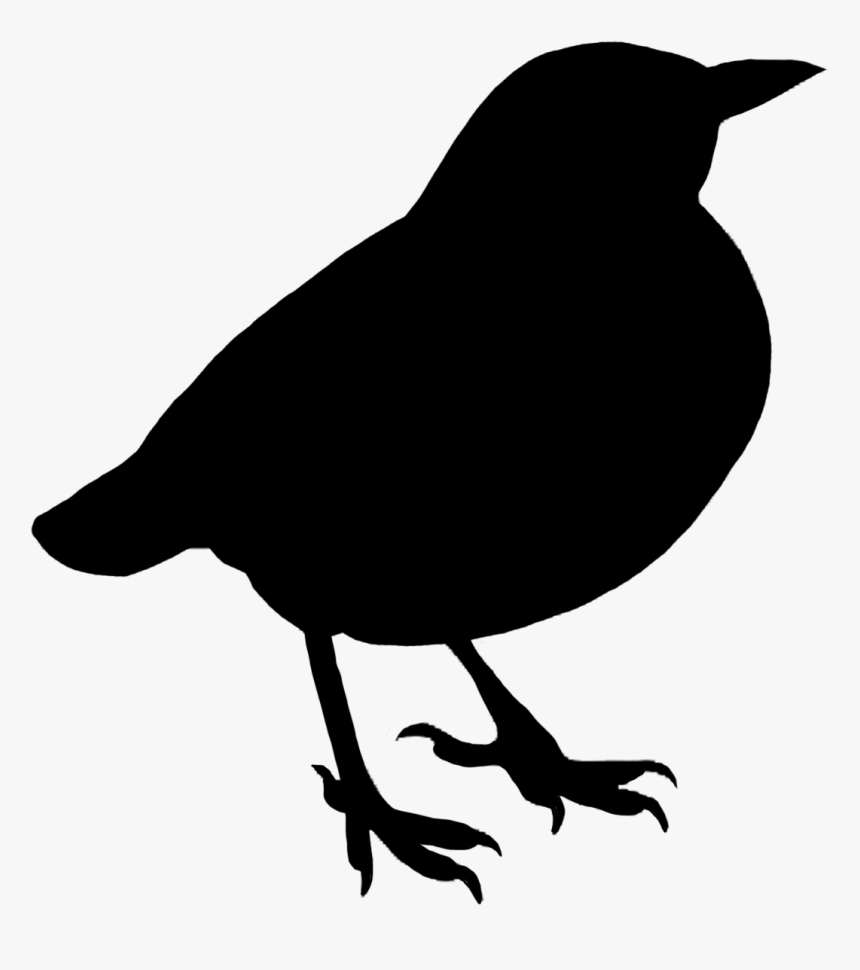Silhouette Black Of Small Standing Bird - Cinco De Mayo Sombrero Png, Transparent Png