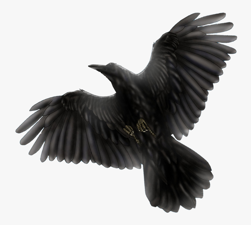 Blackbird Png Photo - Cow Transparent Hd, Png Download
