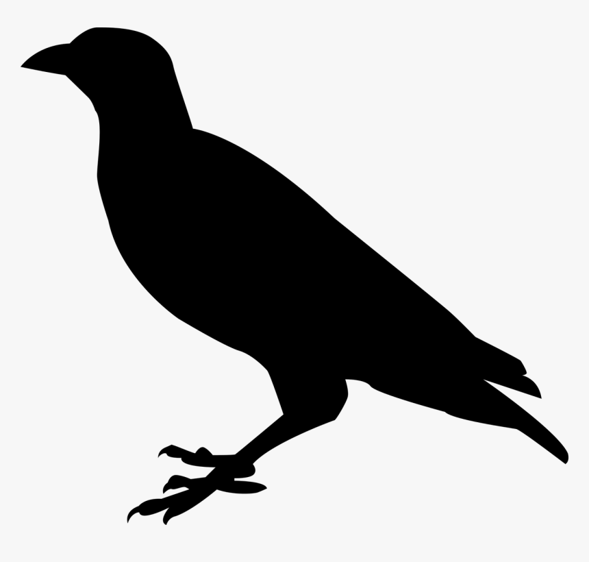Raven, Crow, Raven Bird, Bird, Black, Sitting, Bill - Silhouette Raven Clipart, HD Png Download