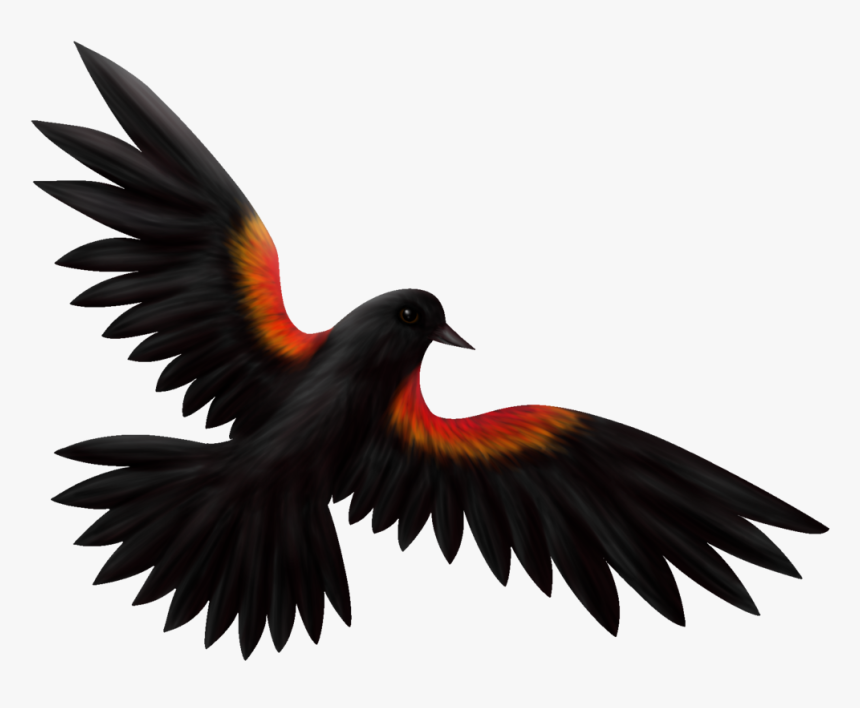 Download Svg Library Download Clip Art At Clker Com - Red Winged Blackbird Clipart, HD Png Download