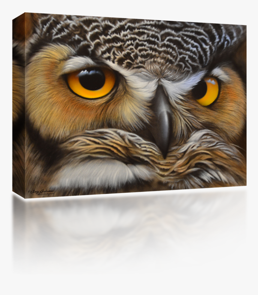 Transparent Owl Face Png - Great Horned Owl, Png Download