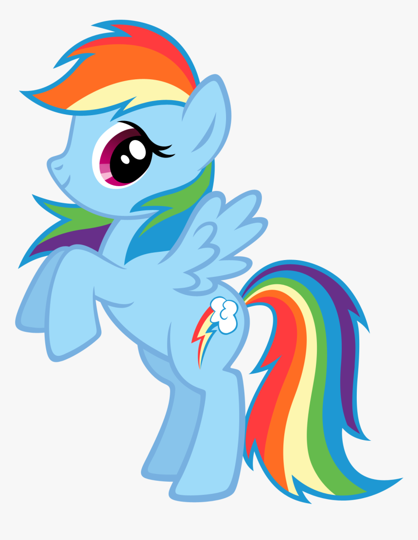 Rainbow Dash Rarity My Little Pony - My Little Pony Characters Rainbow Dash, HD Png Download