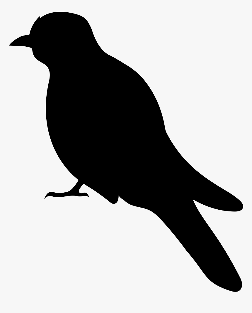 Blackbird, HD Png Download