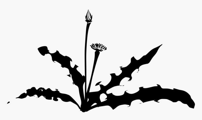 Dandelion Silhouette, HD Png Download