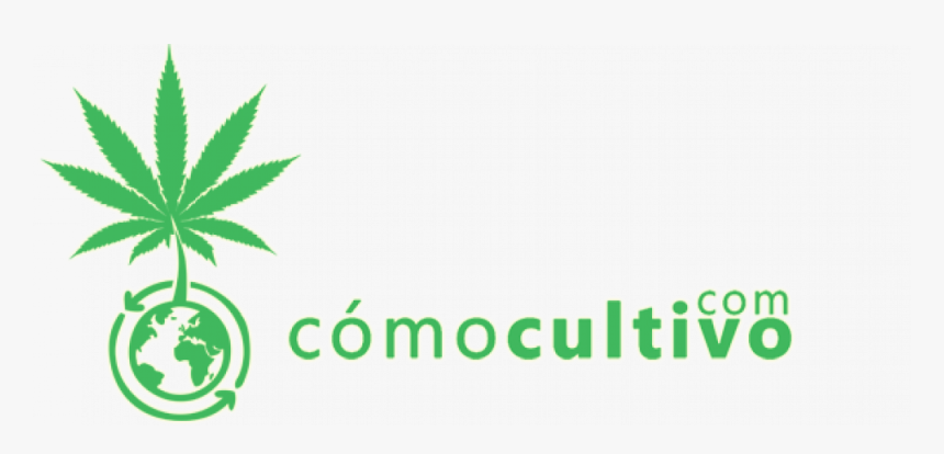 Transparent Burbujas De Agua Png - Marijuana Leaf, Png Download