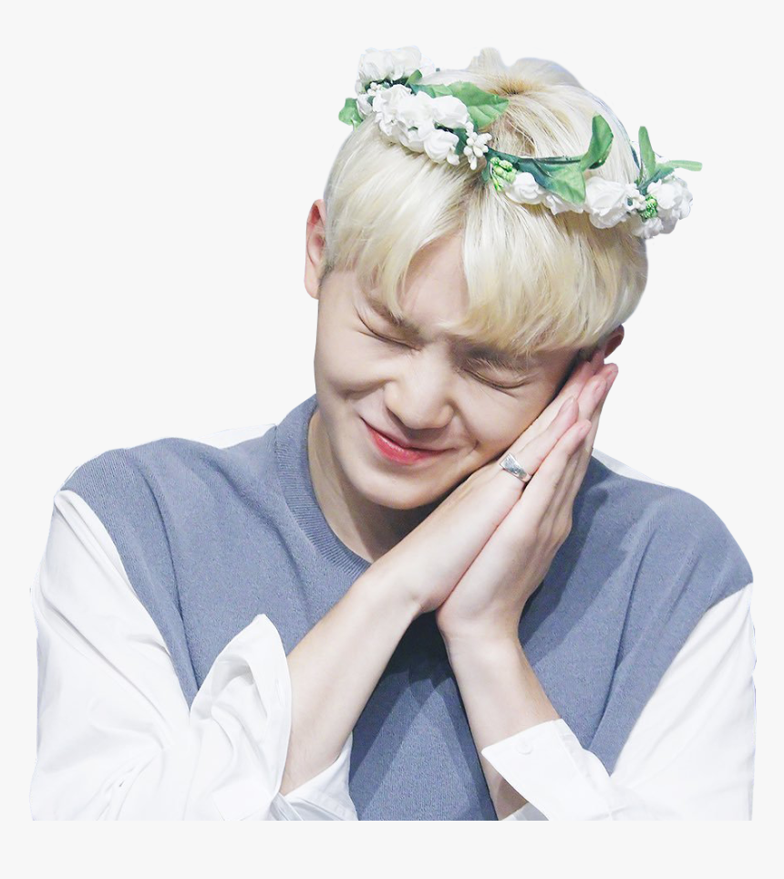 #woozi #svt #seventeen - Transparent Woozi Png, Png Download