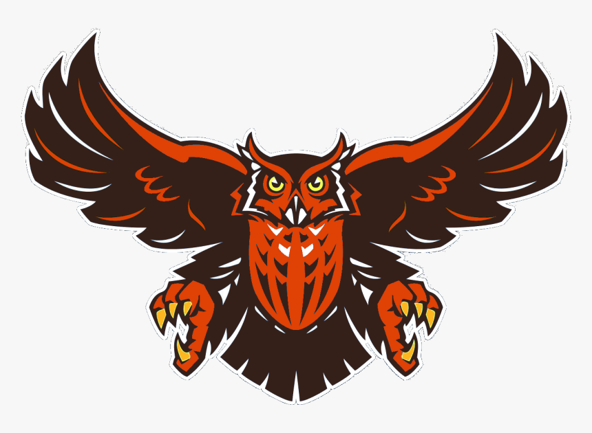 15 Owl Vector Png For Free Download On Mbtskoudsalg - William Cullen Bryant High School Owls, Transparent Png