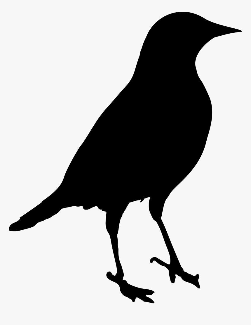 Blackbird Png Photos - Blackbird Png, Transparent Png