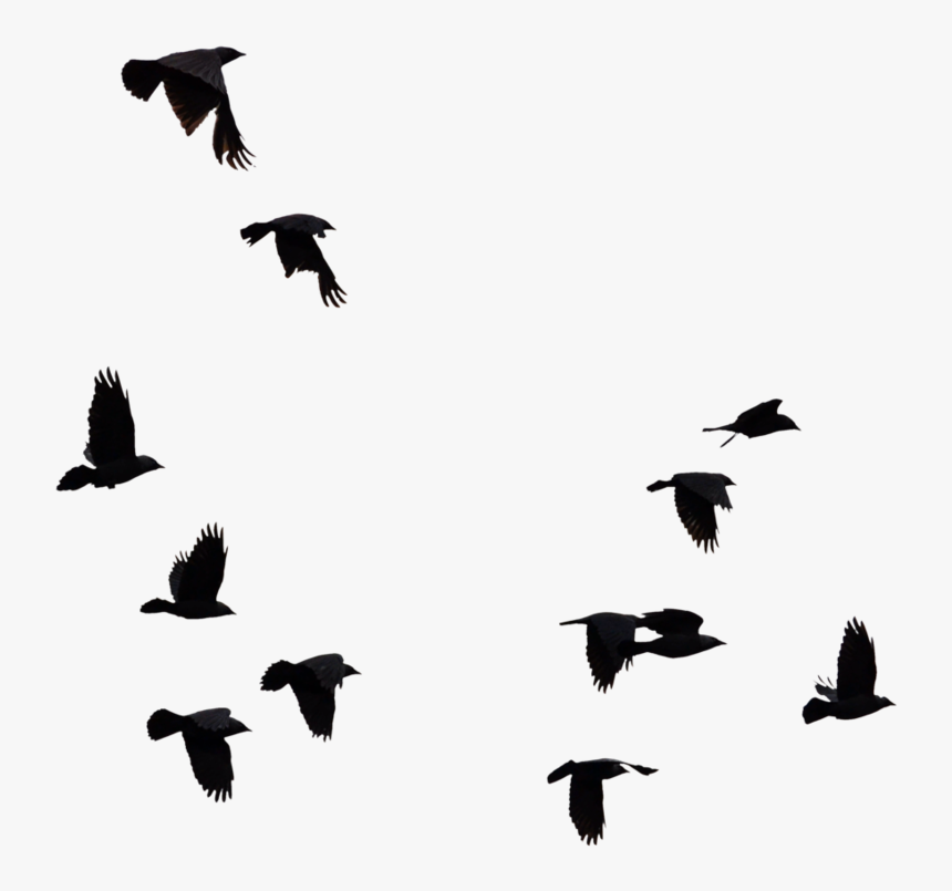 Picsart Alone Boy Editing, HD Png Download