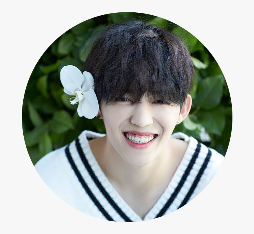 Seventeen S Coups, HD Png Download