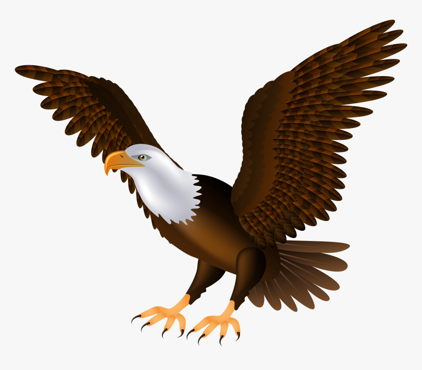Eagle Png Clip Art, Transparent Png