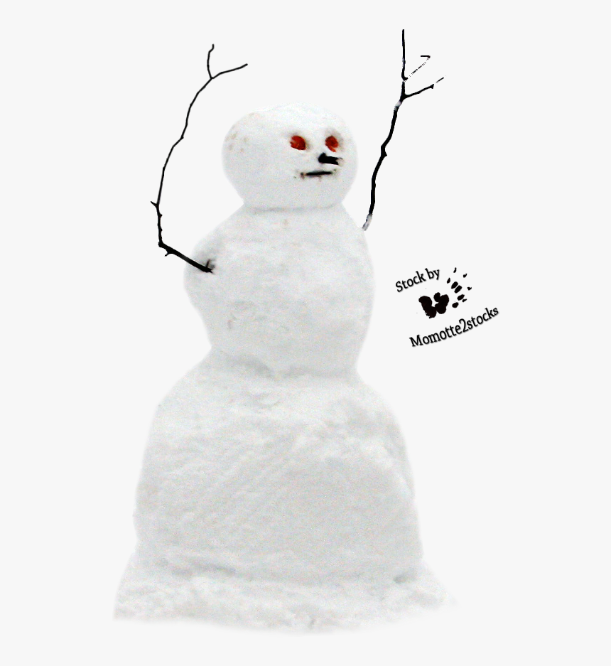 Real Snowman Transparent Background , Png Download - Snowman, Png Download