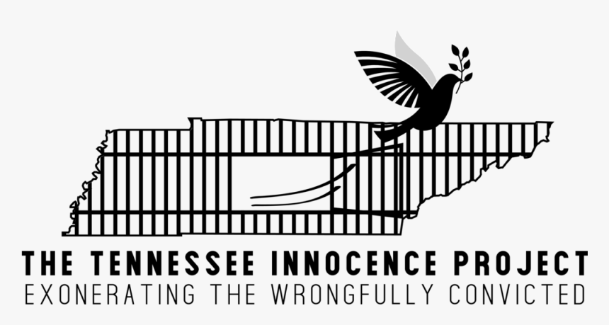 The Tennessee Innocence Project, Located In Nashville, - Silhouette, HD Png Download