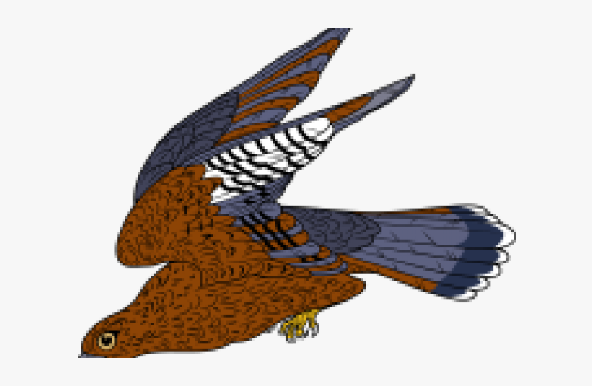 Diving Falcon Silhouette