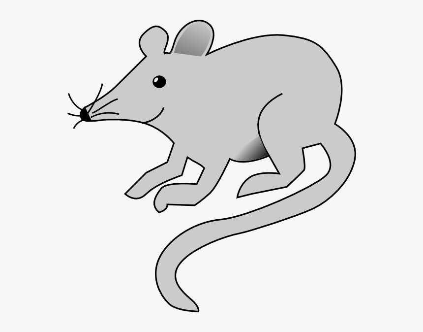Clipart Image Of Rat, HD Png Download