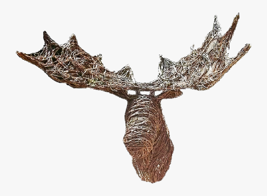 Grapevine Crafts, HD Png Download