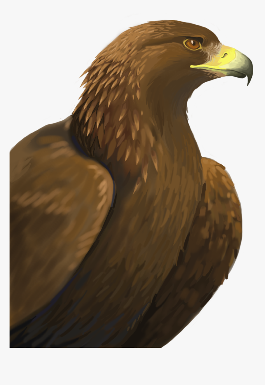 Golden Eagle Png - Golden Eagle Png Png, Transparent Png