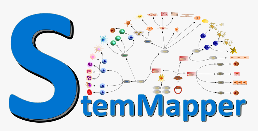 Clip Art, HD Png Download