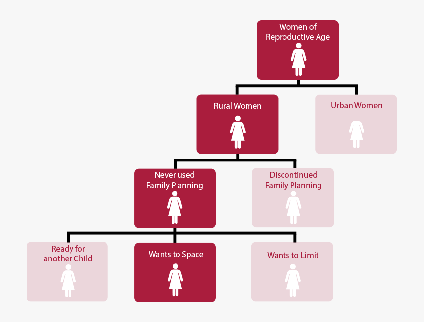 Dmp Audience Segmentation, HD Png Download
