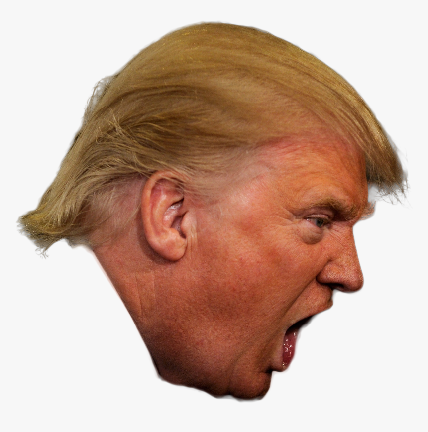 Donald Trump President Of The United States Republican - Donald Trump Speech Bubble, HD Png Download