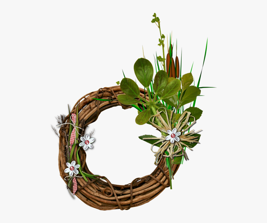 Flower, HD Png Download