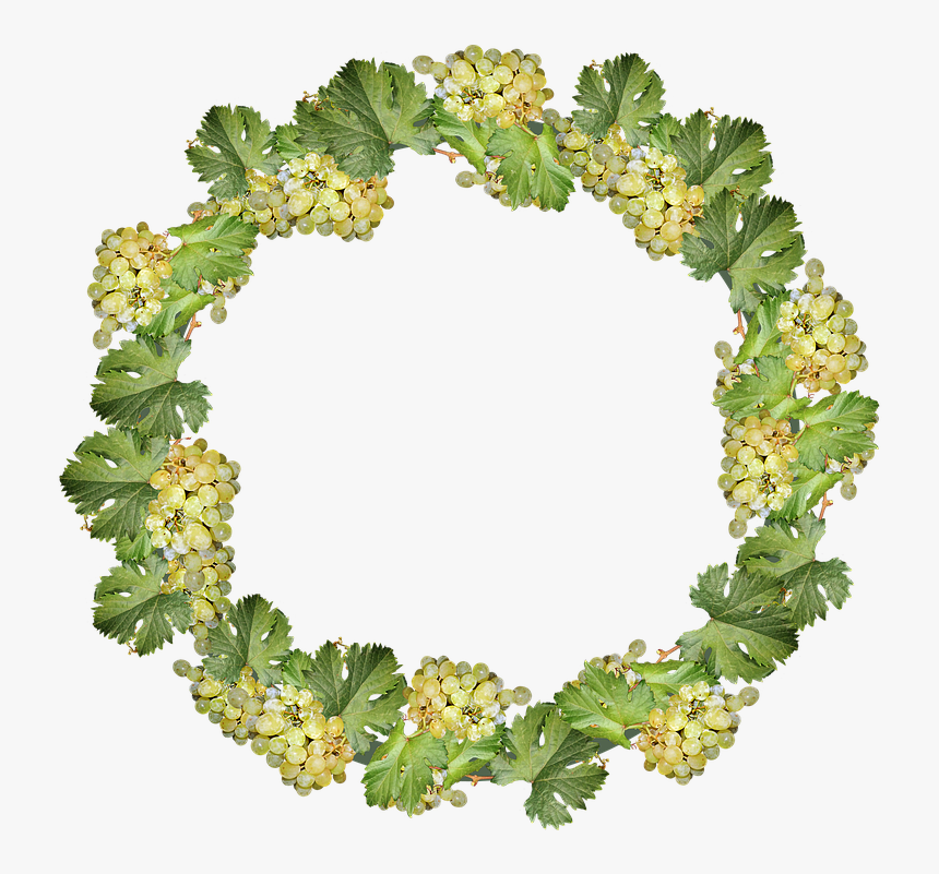 Grapes, Wreath, Border, Frame, Decoration, Cut Out - Viburnum, HD Png Download
