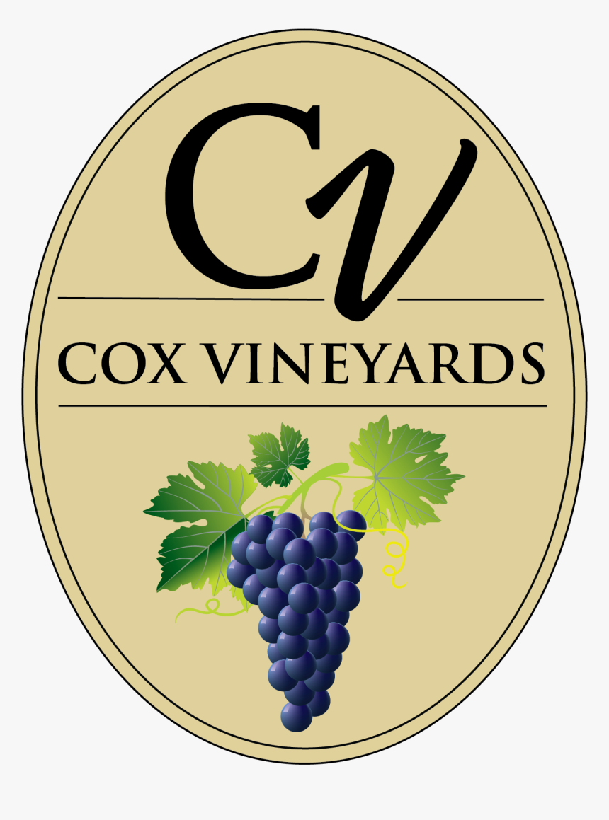 Cartoon Grape Vine Jpeg, HD Png Download