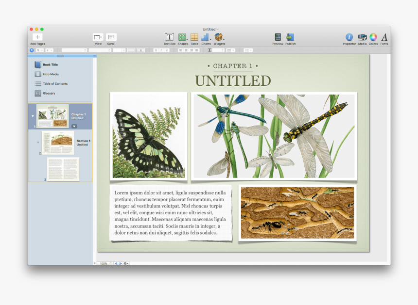 Fourmilière, HD Png Download