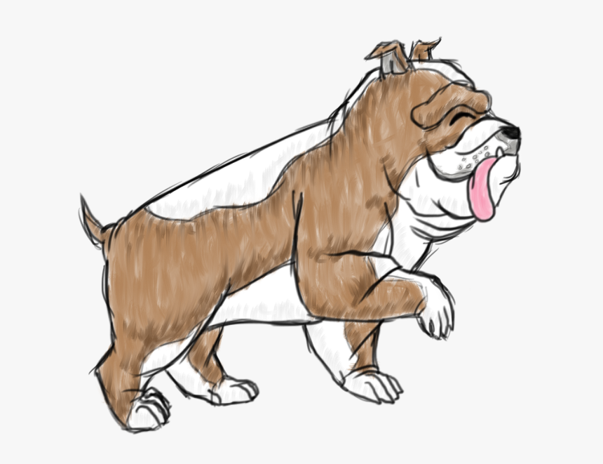 Duke The English Bulldog - Illustration, HD Png Download