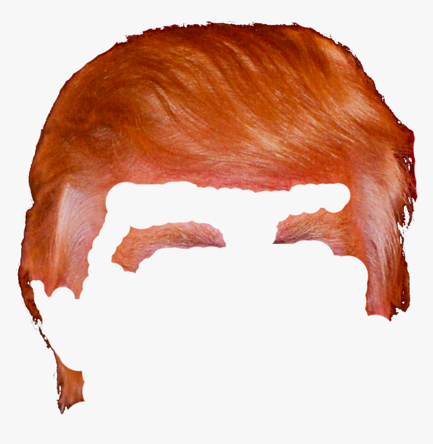 Transparent Trump Hair Png, Png Download