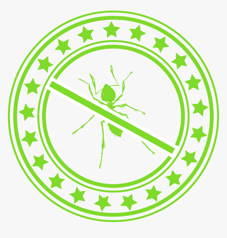 Green Circle With Star Border And A Green Ant With - Vector Graphics, HD Png Download