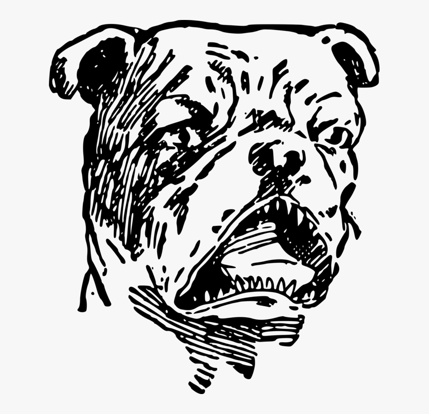 Art,monochrome Photography,carnivoran - Angry Bulldog Png, Transparent Png