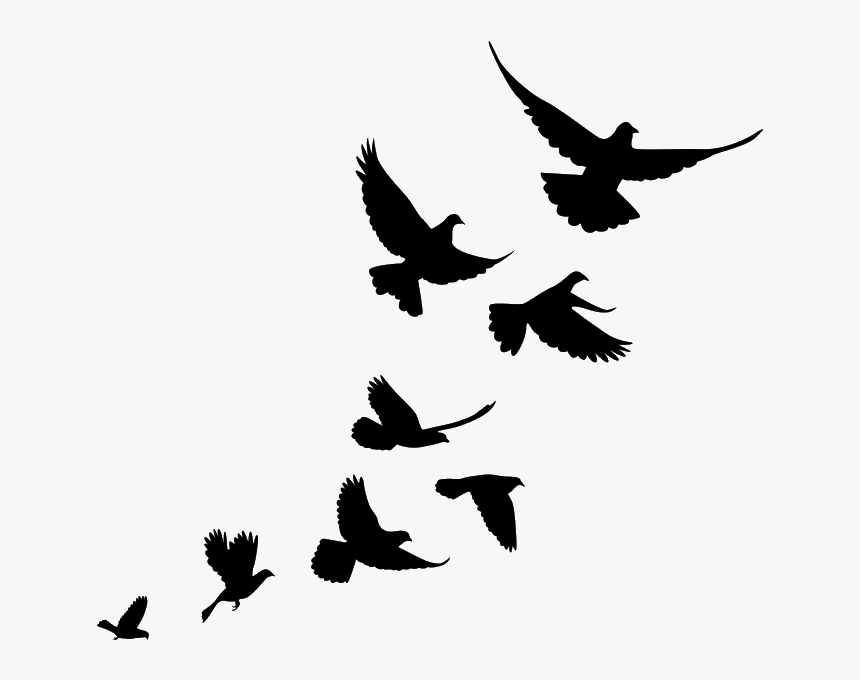 Jiminey Kricket Exterminating Pigeons - Flying Bird Flock Silhouette, HD Png Download