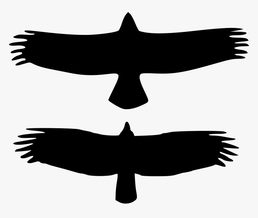 Eagle Vs Vulture Silhouette, HD Png Download