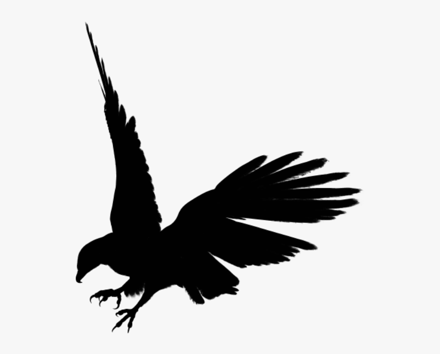 Free Birds Download Clip - Logo With Black Eagle, HD Png Download