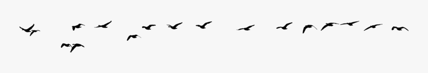 Silhouette Birds Flying Png, Transparent Png