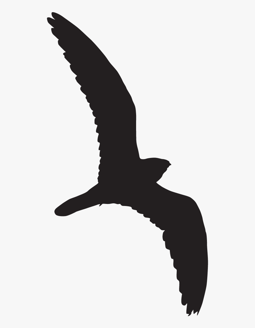 Whippoorwill Silhouette, HD Png Download