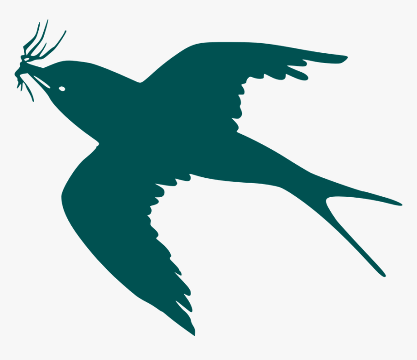 Transparent Bluebird Clipart - Cartoon Black Bird Flying, HD Png Download